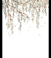 LILYDALE - Papier peint panoramique - Feuillage d'eucalyptus